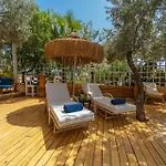 Elixir Kalkan
