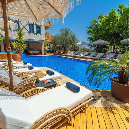 Elixir Hotel 3*