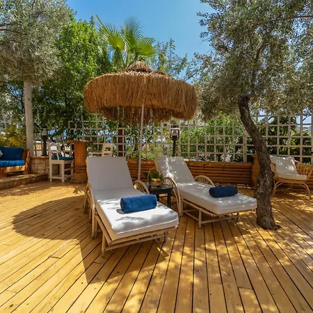 Elixir Kalkan