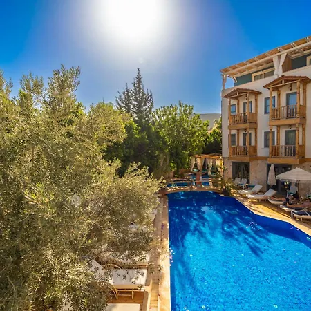 Elixir Kalkan