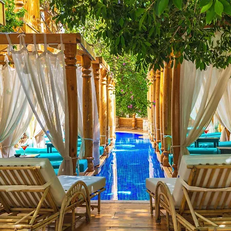 仙丹酒店 3* 卡尔坎